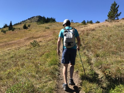 Lead photo for Salewa Mountain Trainer Lite GTX