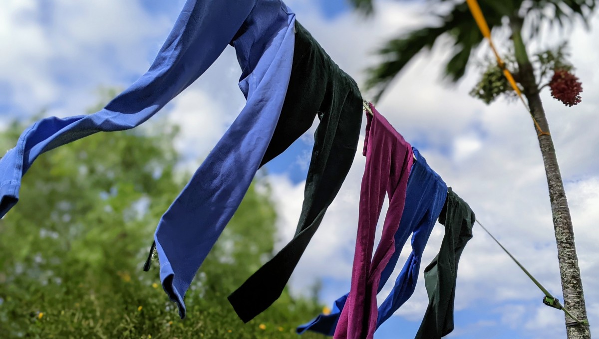 Best Yoga Pants Review (We want to share the best yoga pants of 2023.)