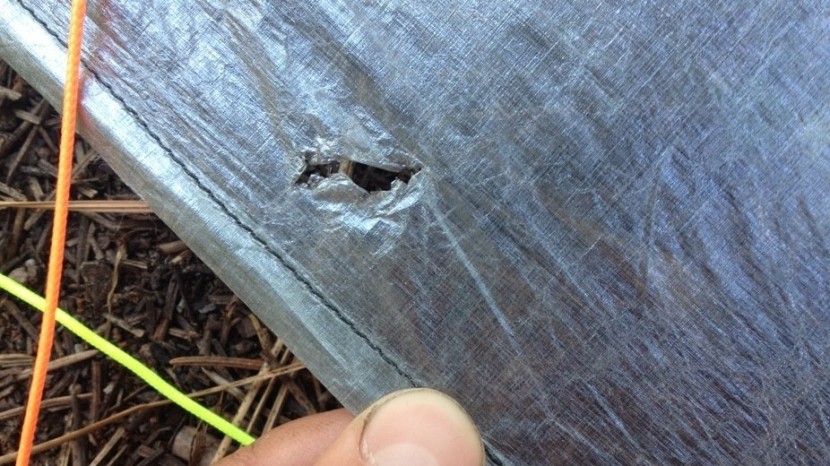 unfortunately, sometimes accidents happen, and it helps to be...