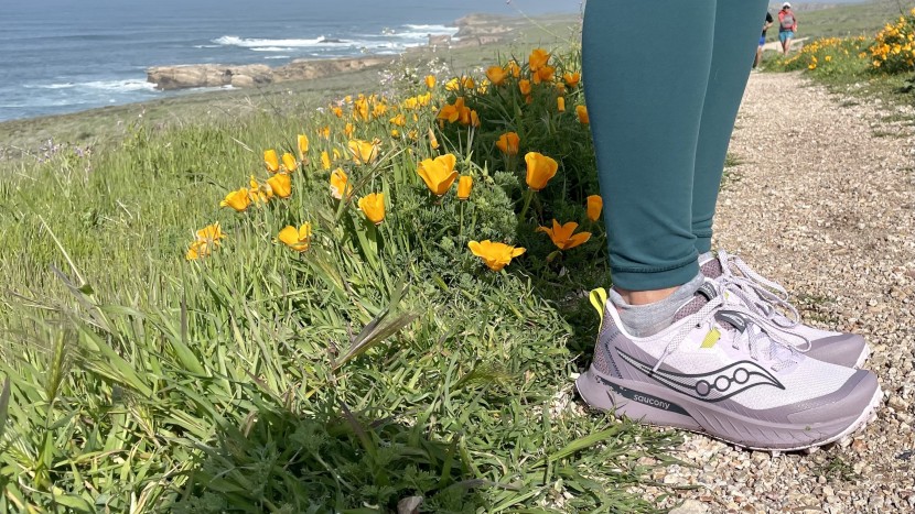 for everyday trail running in beautiful places, the peregrine is...